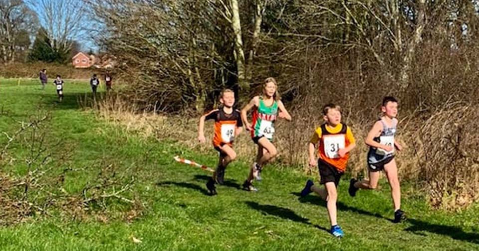 North Wales Cross Country Championships 2022